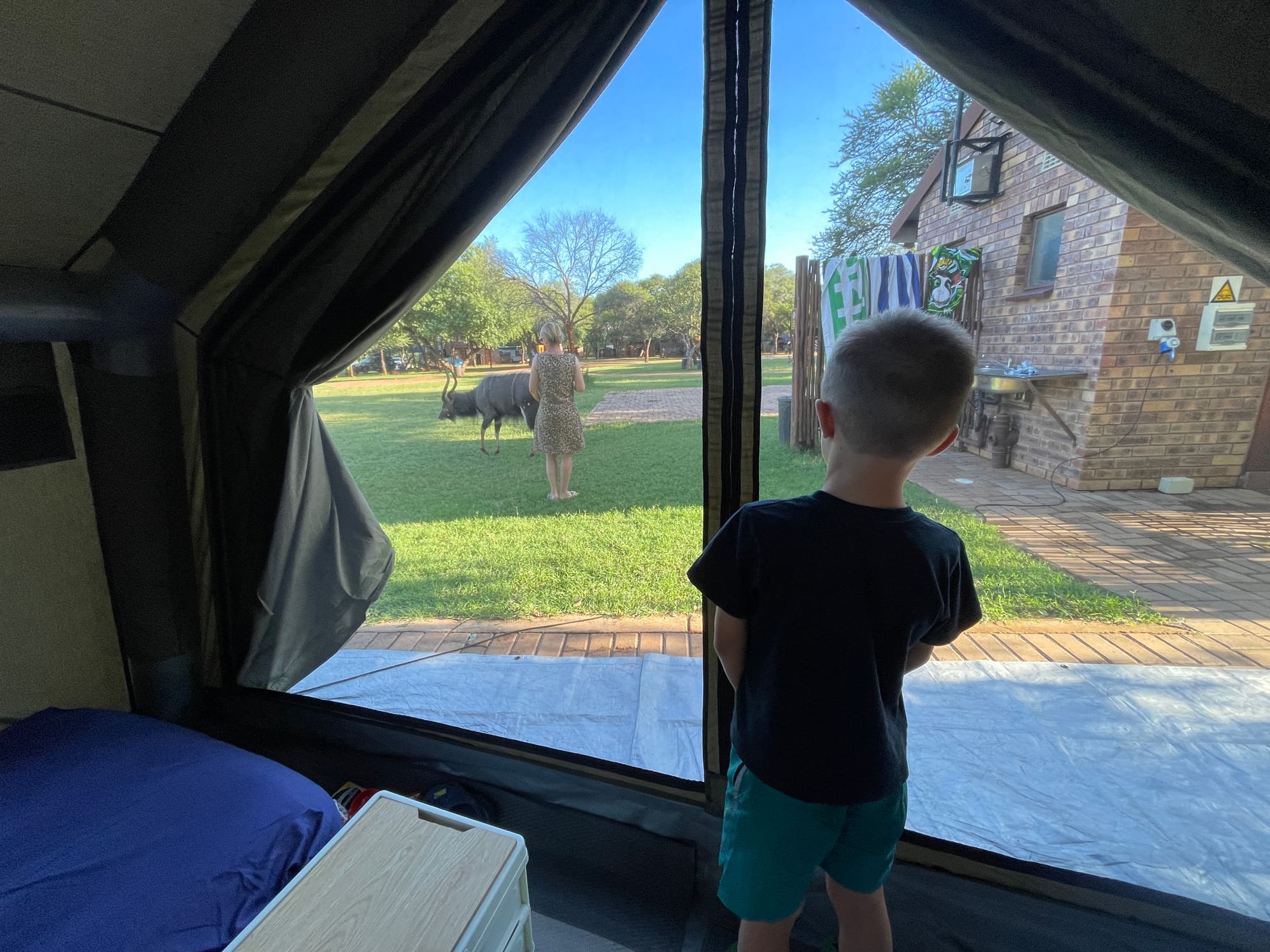 Open annex of the Coody Familia tent during the day, camp table and chairs set up, kids visible through the inner doorway