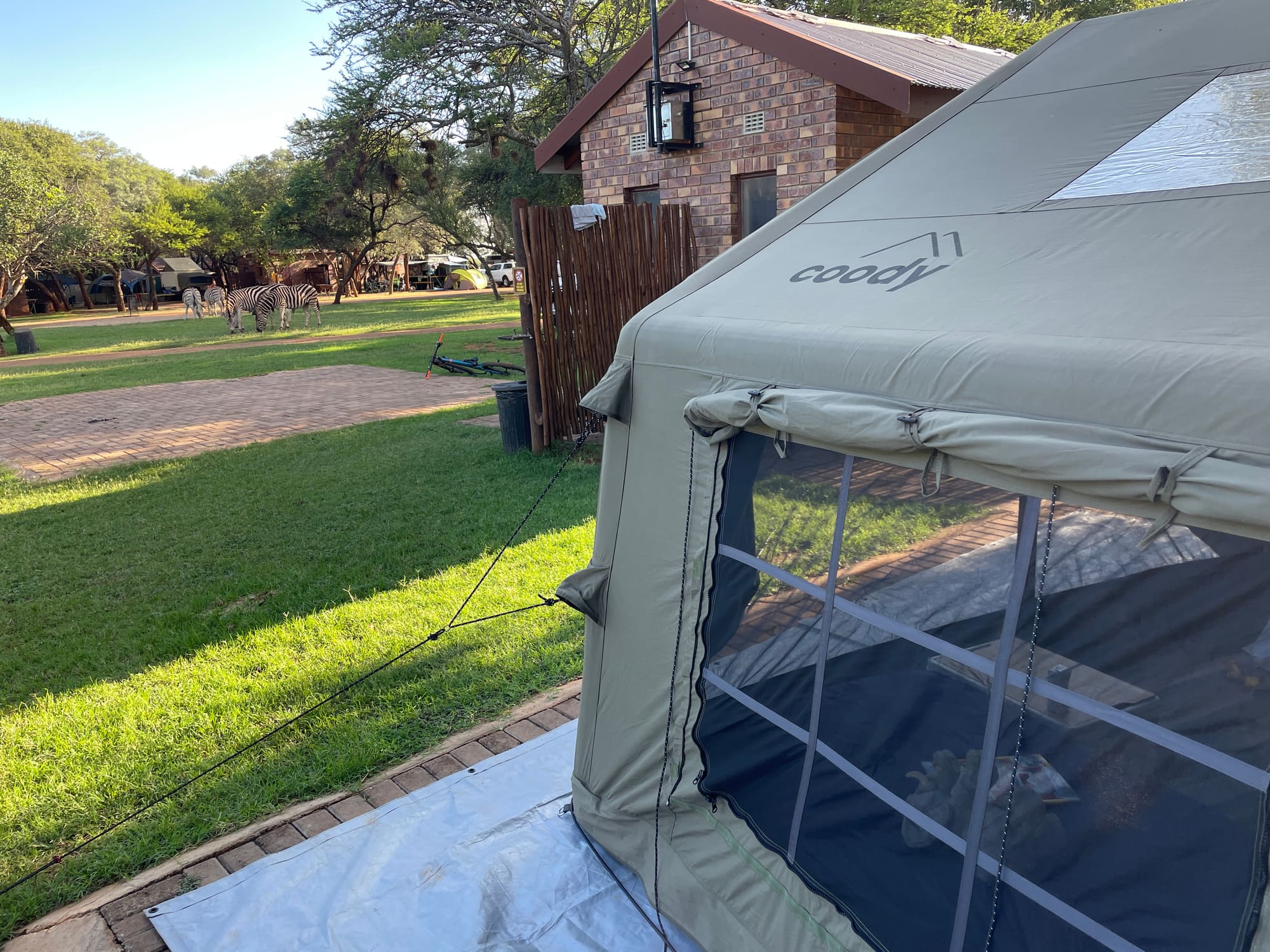 Coody branding on the tent corner with zebras grazing in the background at Sondela, Bela Bela