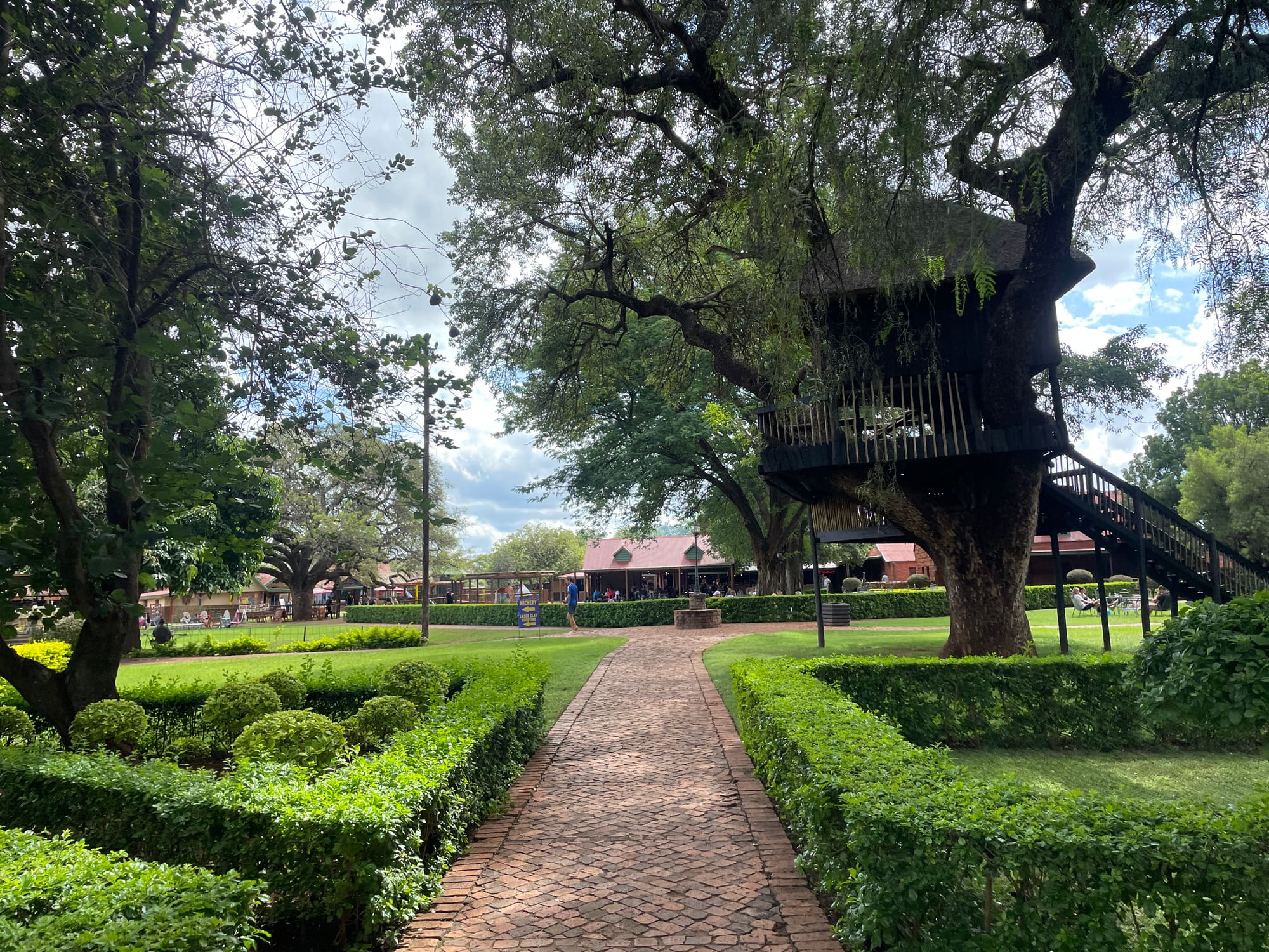 Garden path leading to a treehouse structure at the Sondela, Bela Bela resort