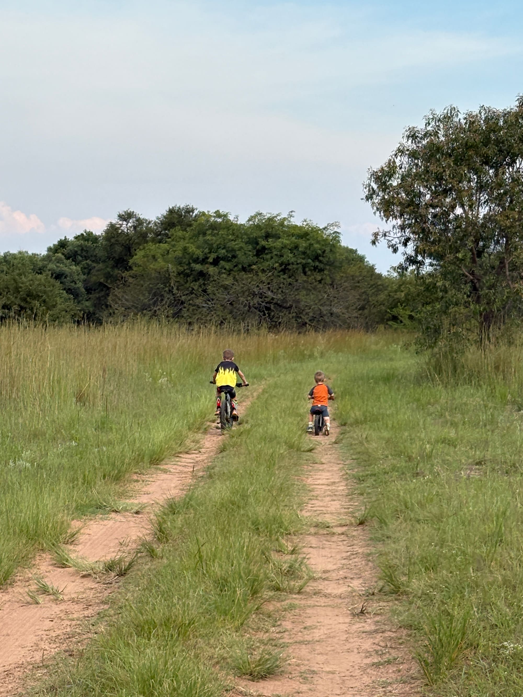Two kids riding balance bikes along a farm path at Kleinood Guest Farm