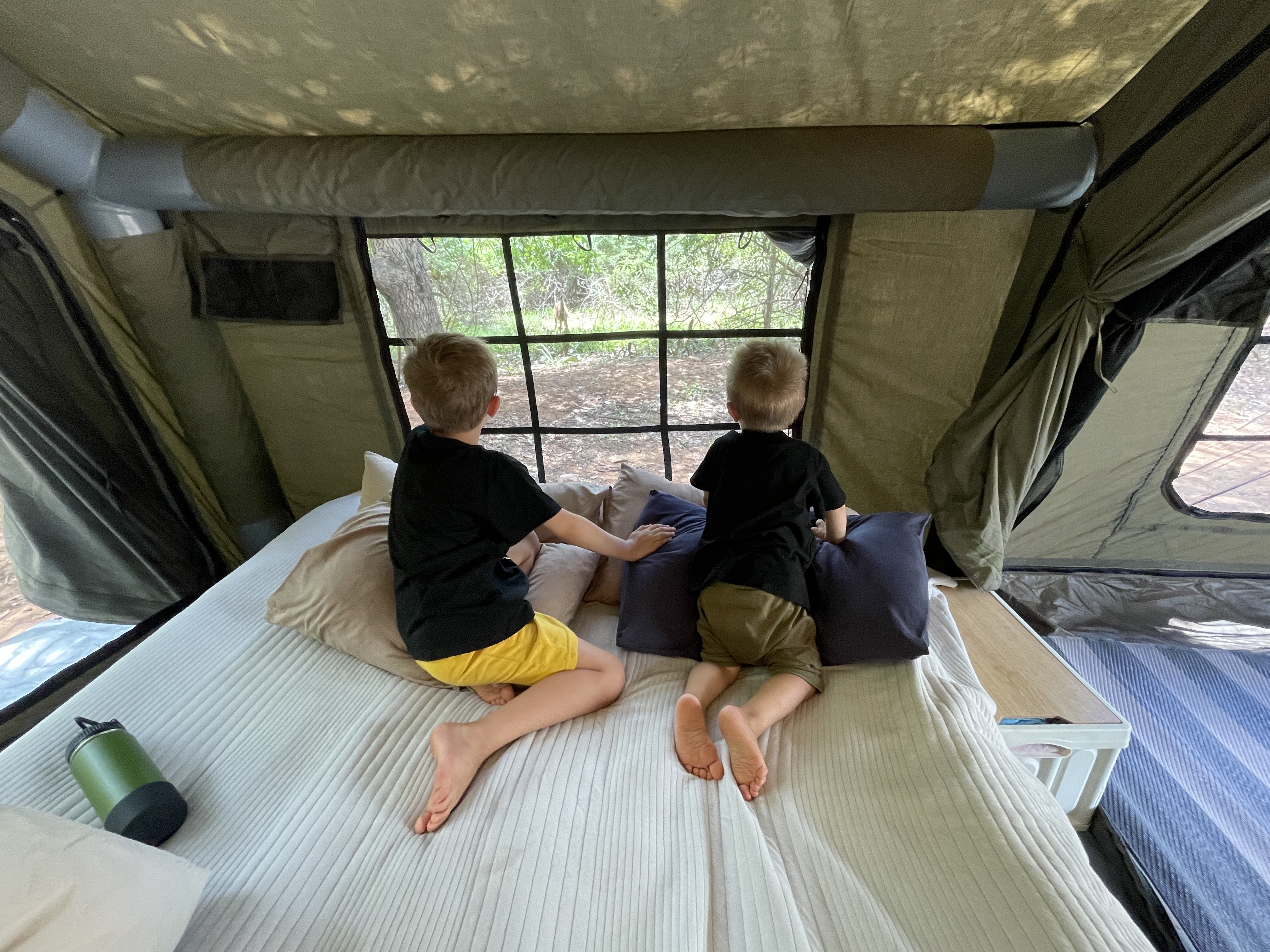 Two young boys sitting on their bed inside the Coody Familia tent, watching wildlife through the panoramic mesh window at Kruger National Park