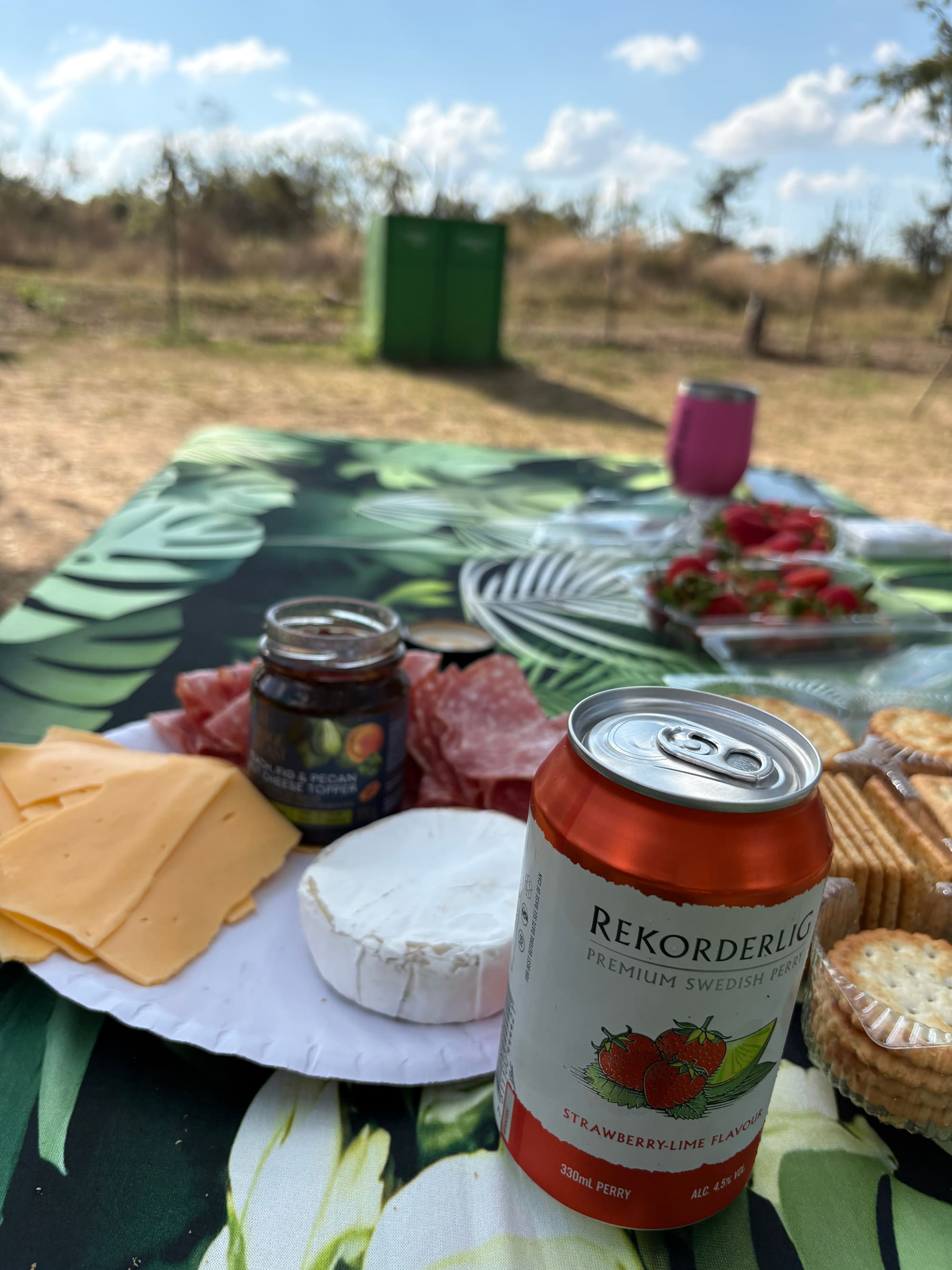 A snack platter with cheese, salami, and crackers set up at camp