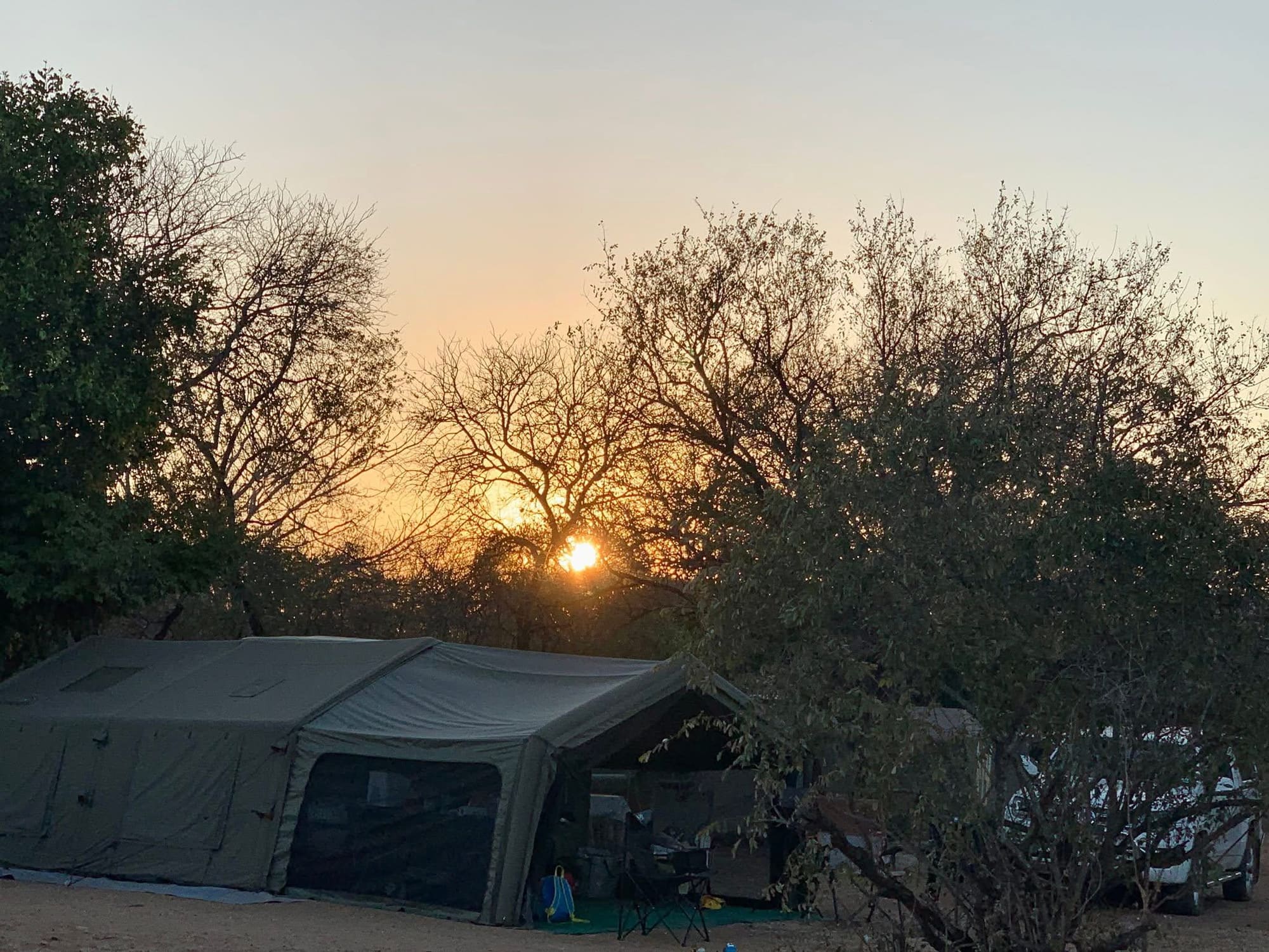 Coody Familia tent glowing at sunset through the trees at Satara