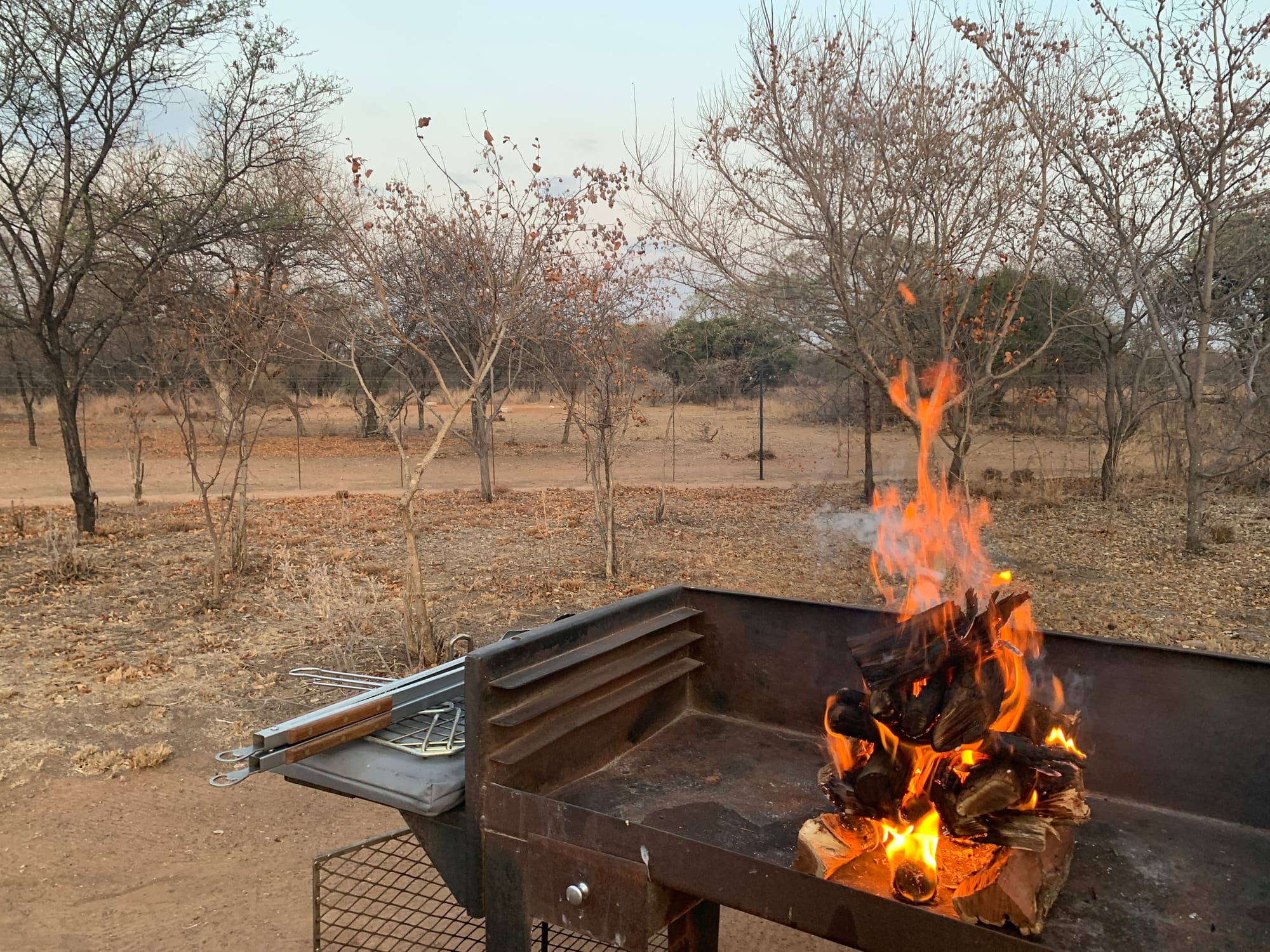 Close-up of flames on the braai at dusk at Willemsrus, Dinokeng